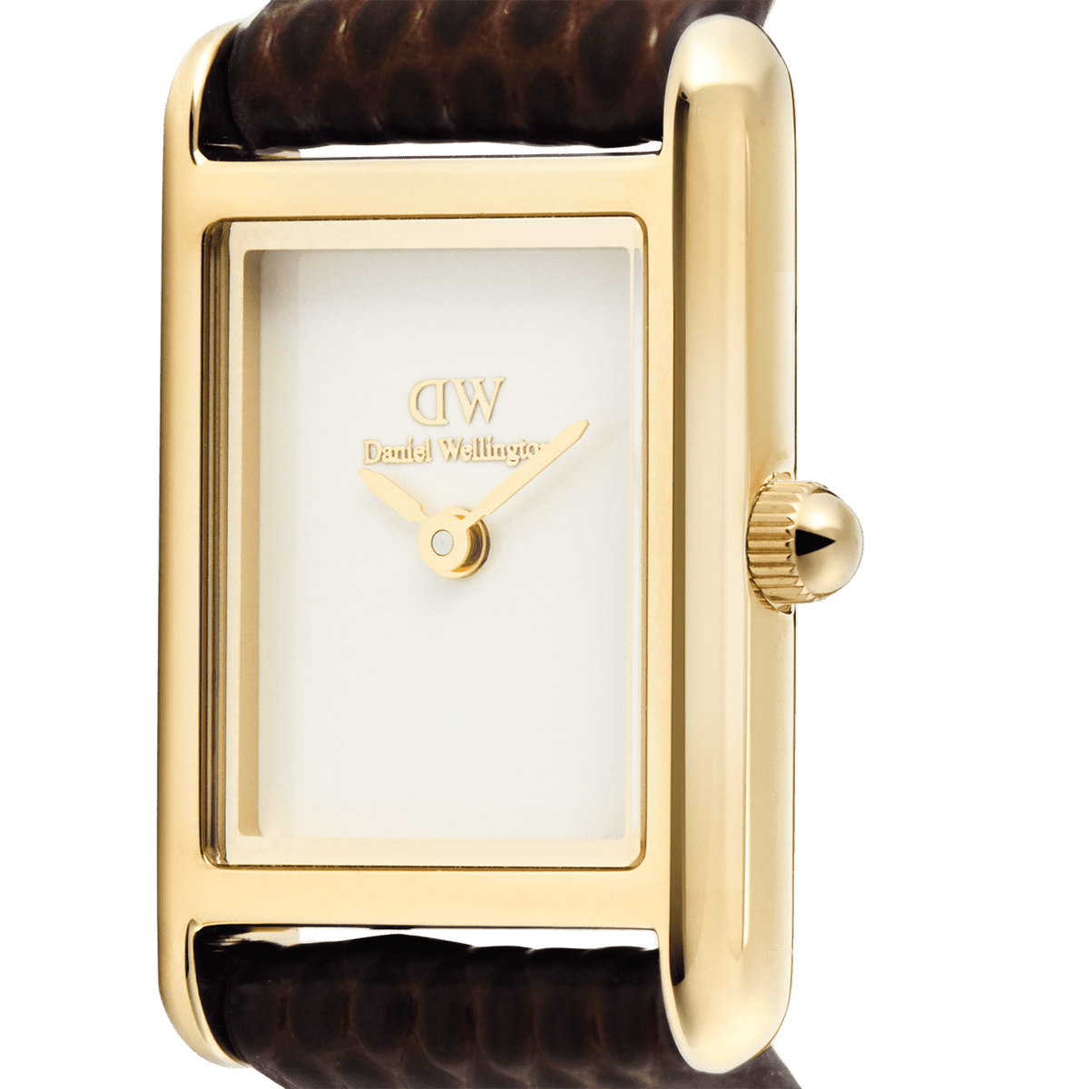Daniel Wellington Bound Mini Dark Brown Lizard Gold